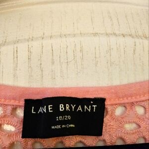 A pink blouse with a burnout on top from Lane Bryant.
